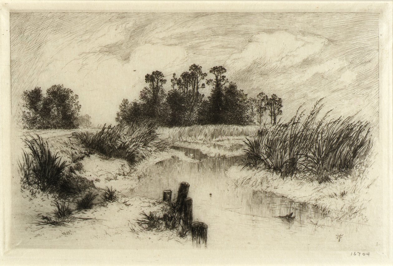 Poblíž Easthampton, L.I. (Passaic Meadows) od Thomas Moran