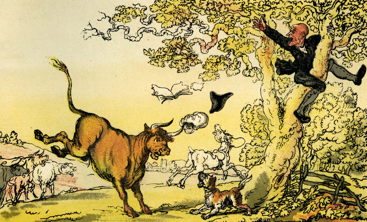 "Doktor Syntax pronásledovaný býkem" od Thomas Rowlandson