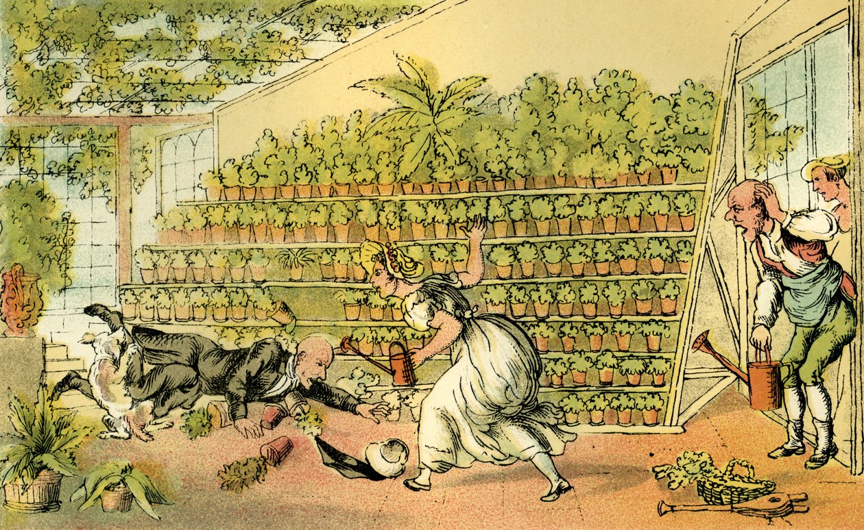 „Neštěstí v Tulip Hall“ od Thomas Rowlandson