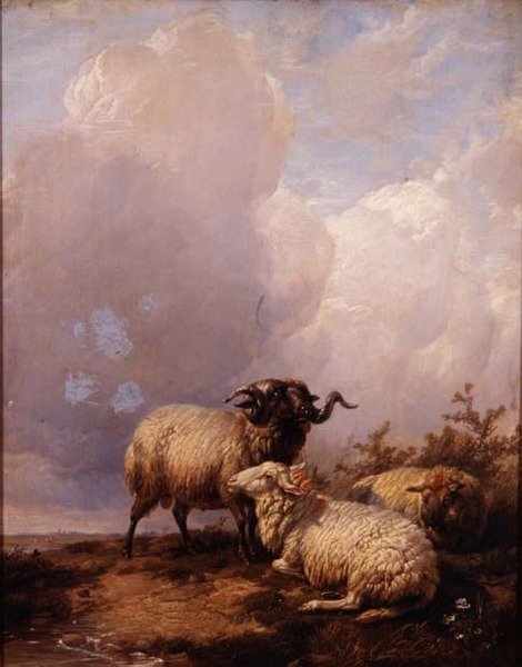 Ovce v krajině od Thomas Sidney Cooper