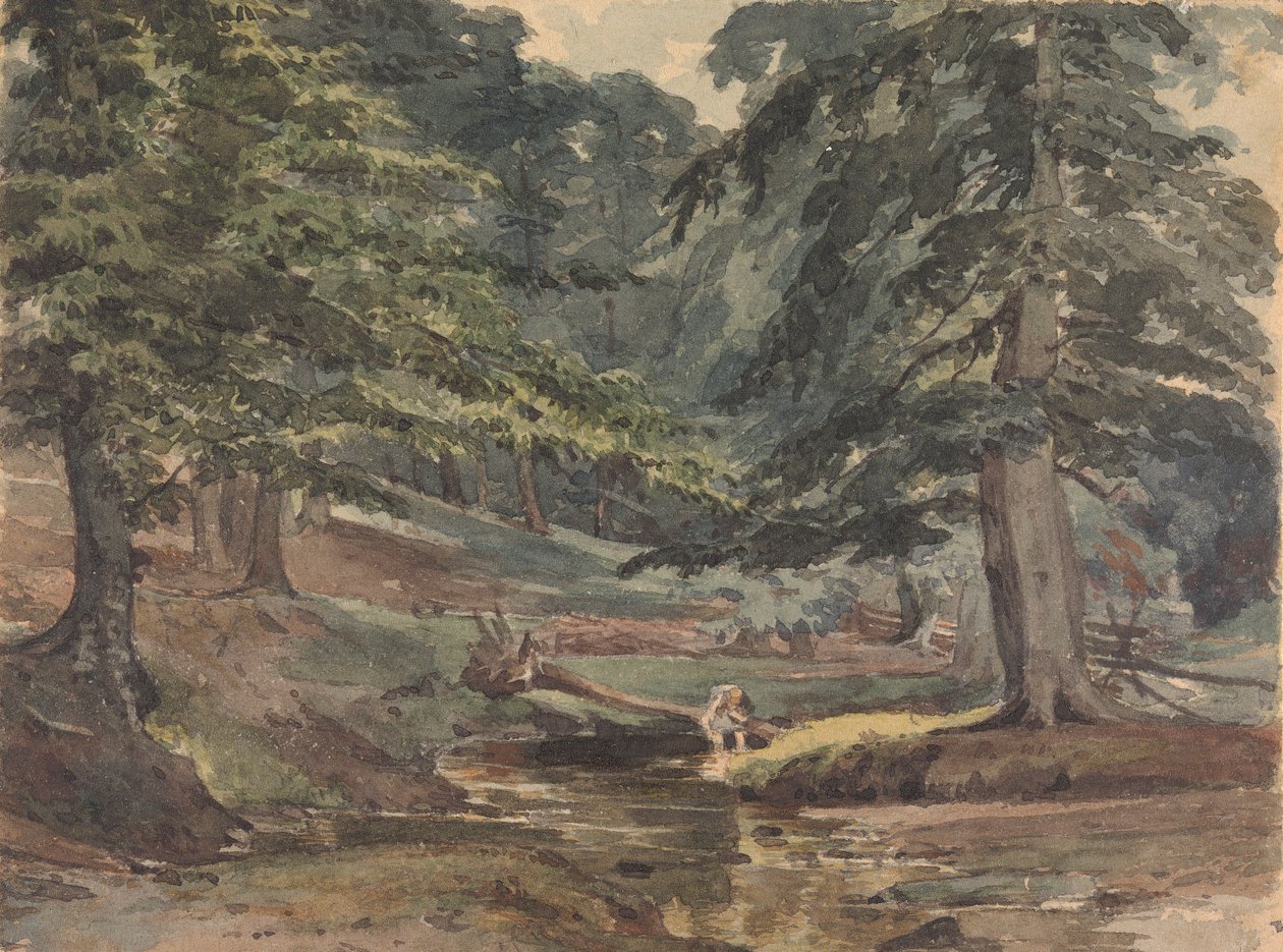 Scéna zalesněné řeky od Thomas Sully