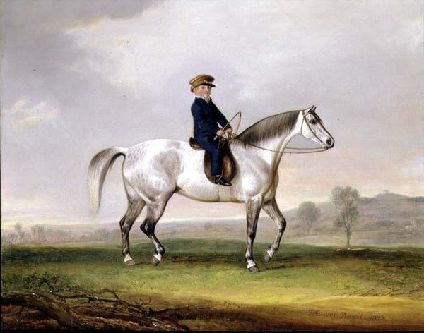 Mistr Edward Humphries na svém Šedém poníkovi od Thomas Weaver
