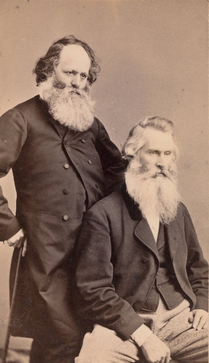Elliott a Palmer, 1864-66. od Thompson Gallery