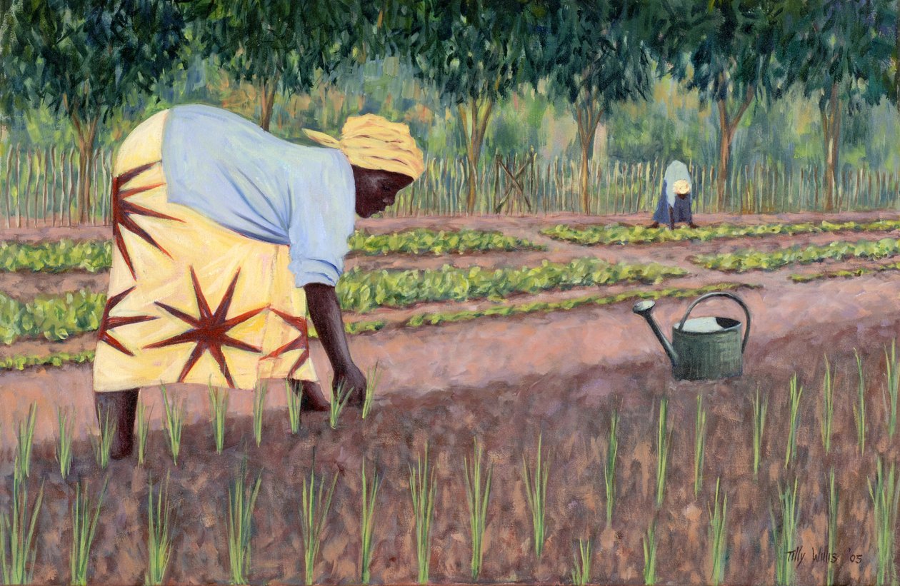 Výsadba cibule, 2005 od Tilly Willis