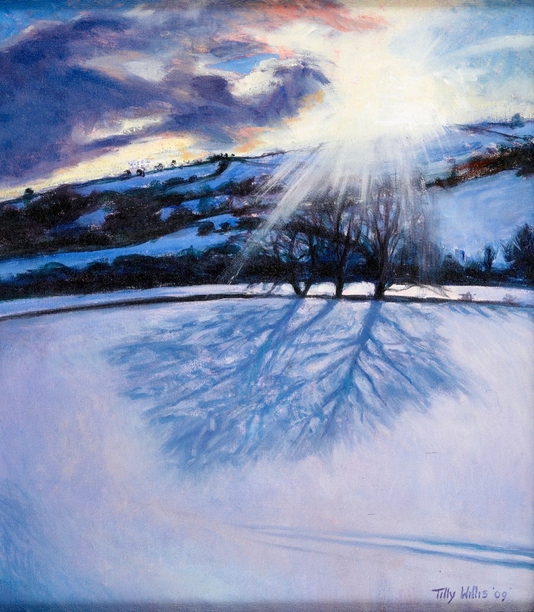 Sněhové stíny, 2009 od Tilly Willis