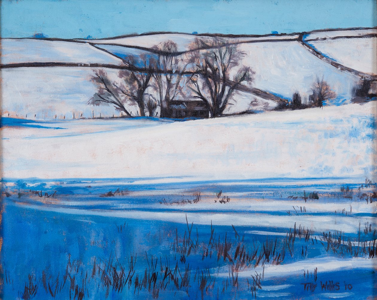 Sněhové stíny, 2010 od Tilly Willis