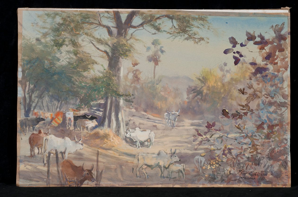 Skot, Jambughoda, 2009 od Tim Scott Bolton