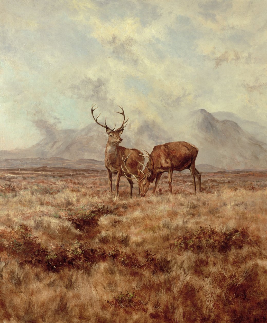 Red Stags, Ben Buie, 1982 od Tim Scott Bolton