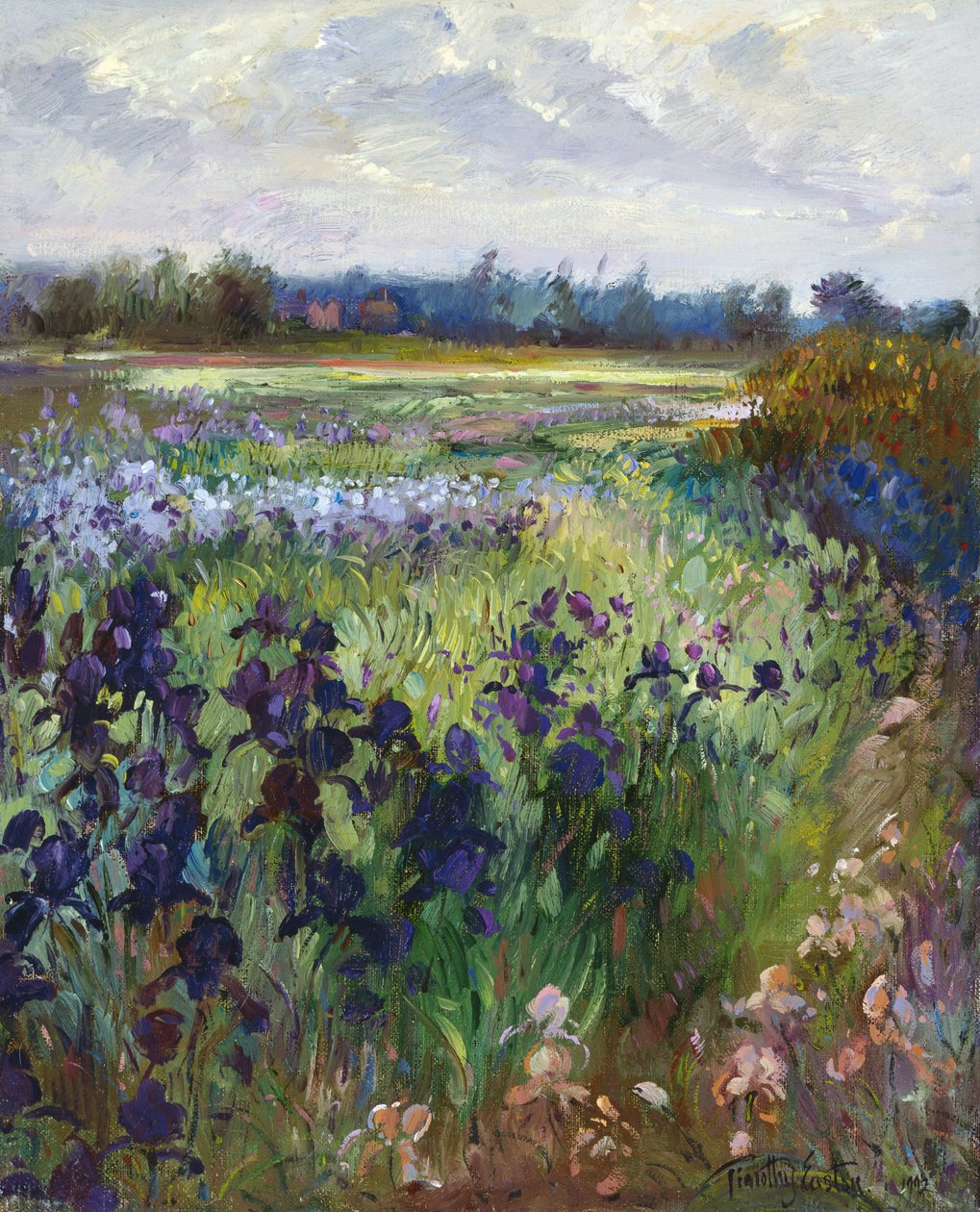 Přes Great Green, Burgate, 1992 od Timothy Easton
