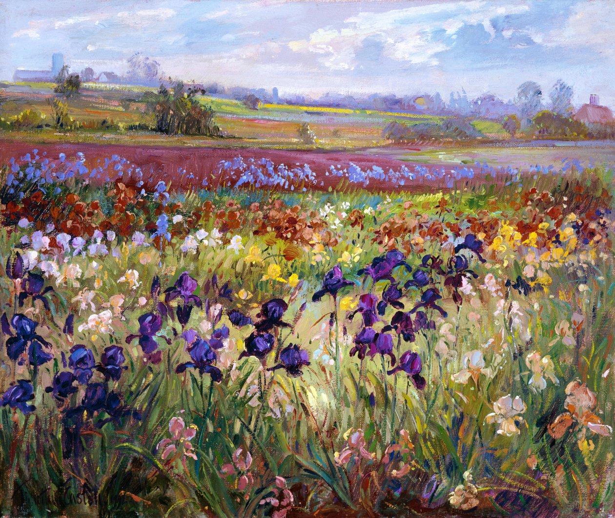 Přes Burgate od Timothy Easton