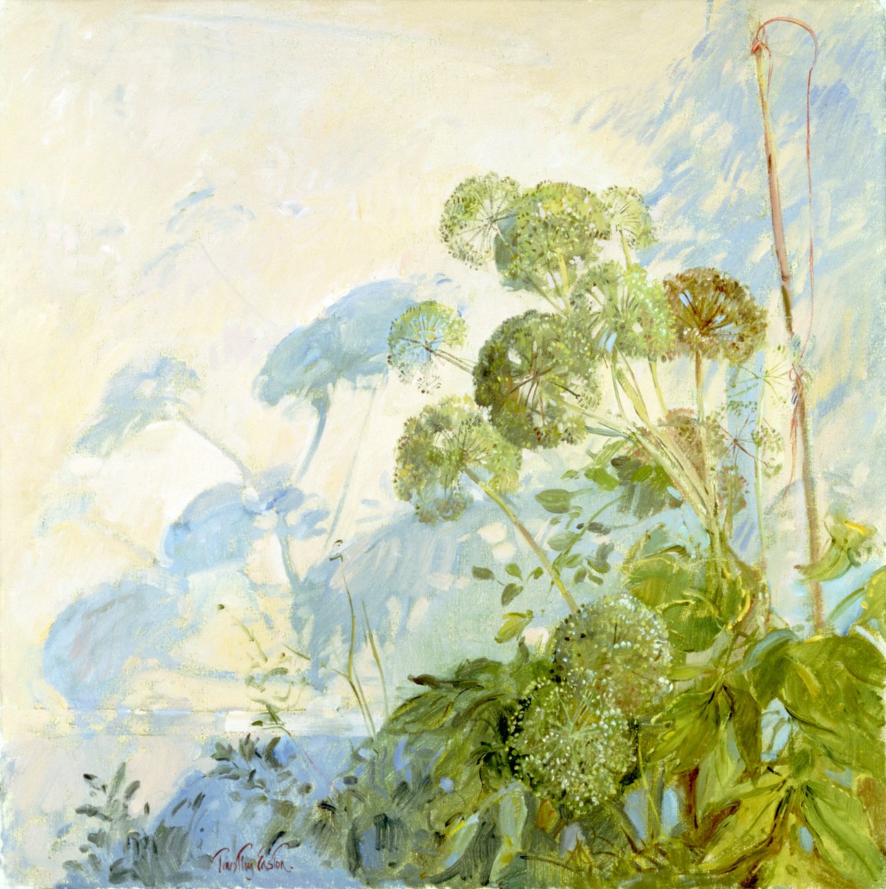 Angelica Shadows od Timothy Easton