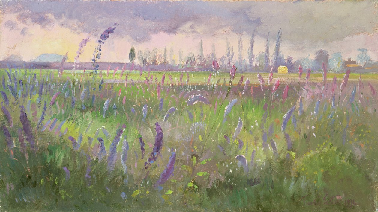 Delphiniums, Bouře, 1991 od Timothy Easton