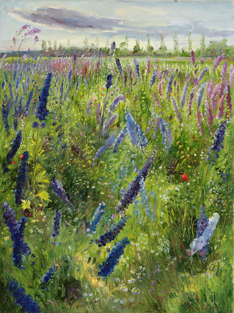 Delphiniums and Emerging Sun, 1991 od Timothy Easton