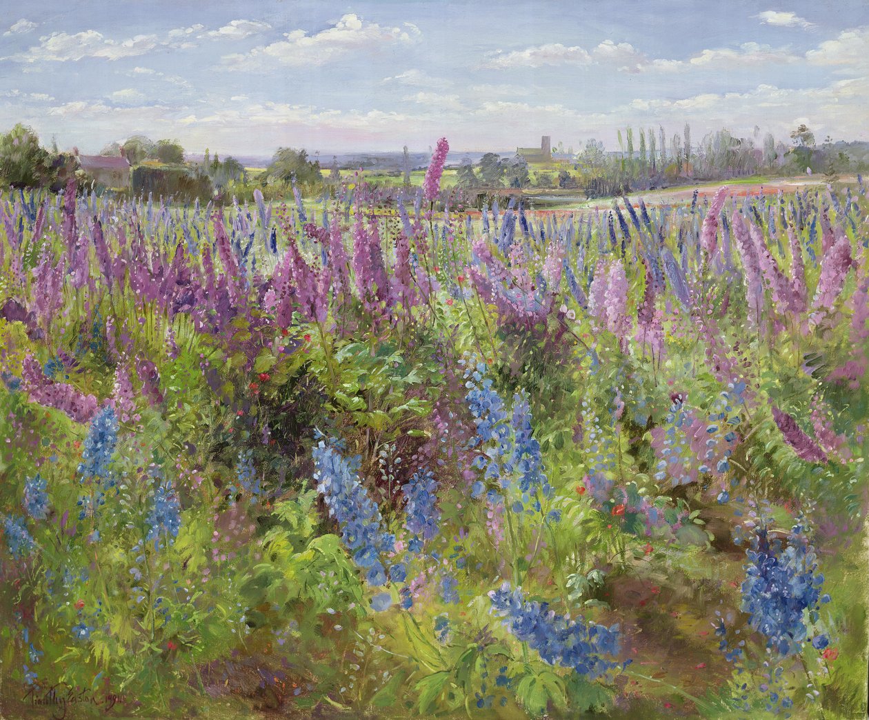 Delphiniums and Poppies, 1991 od Timothy Easton