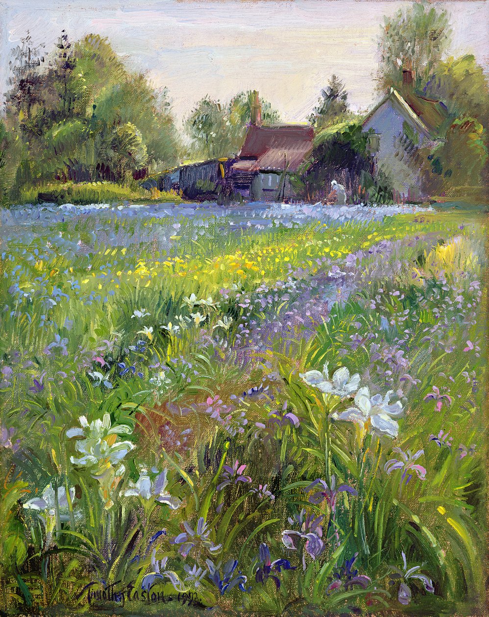 Trpasličí kosatce a chalupa, 1993 od Timothy Easton