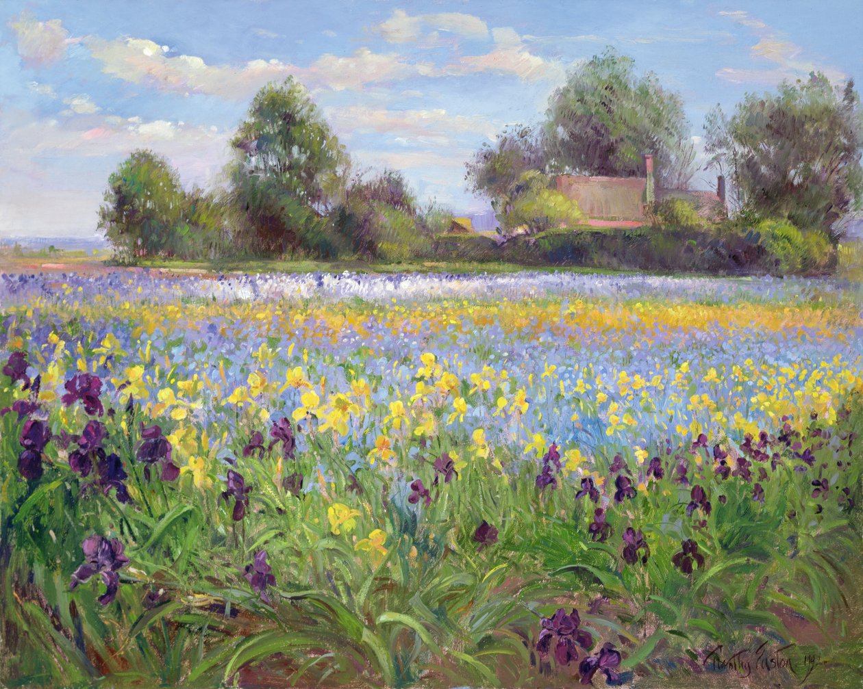 Farmstead a Iris Field, 1992 od Timothy Easton