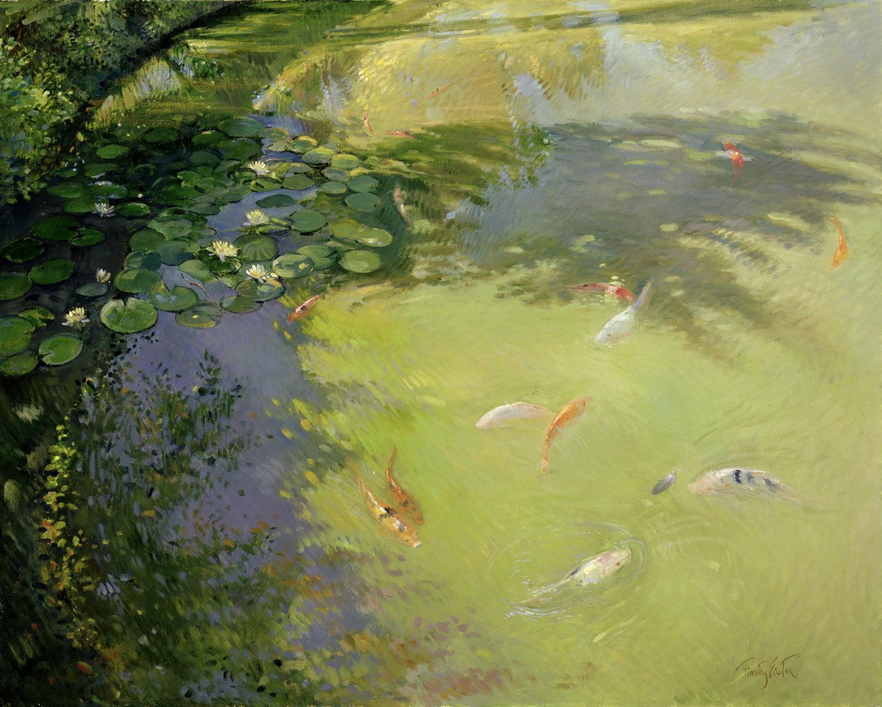 Featherplay od Timothy Easton