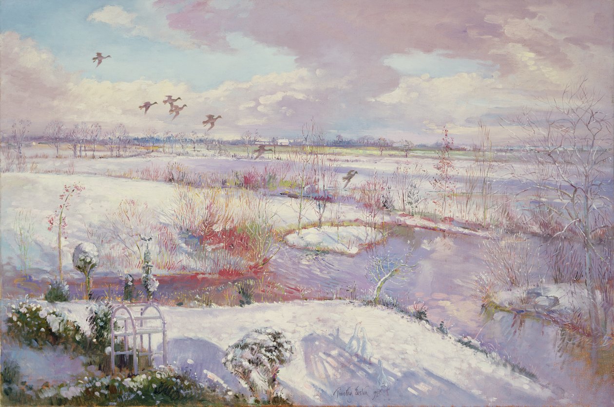 Let dolů, 1993 od Timothy Easton