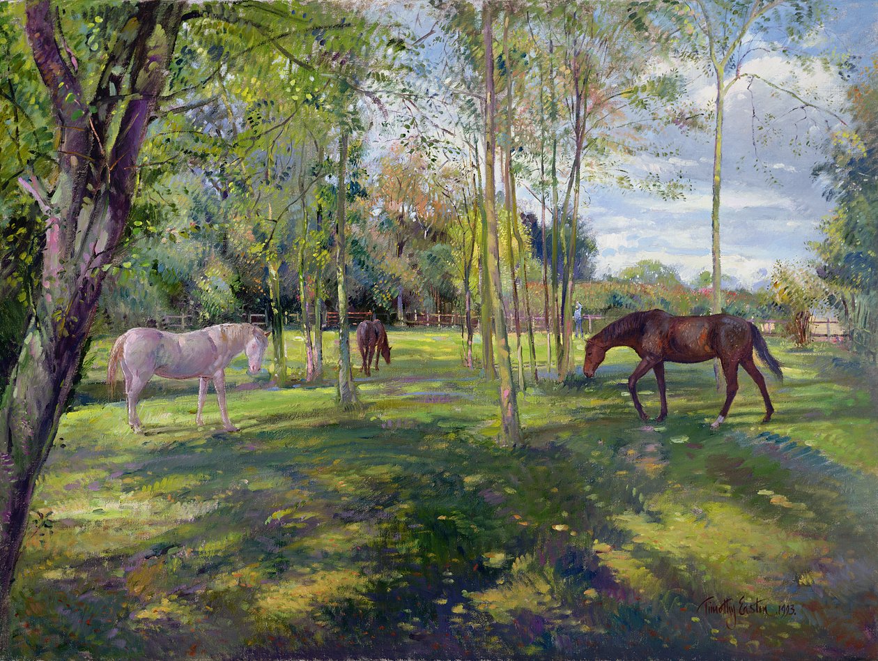 Ve výběhu fary, 1993 od Timothy Easton