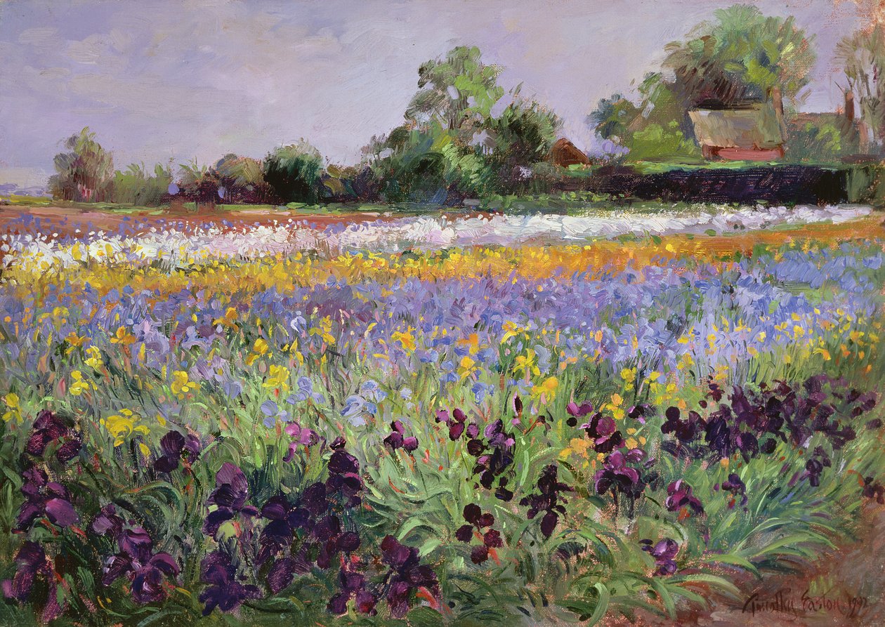 Iris Field a dvě chatky od Timothy Easton