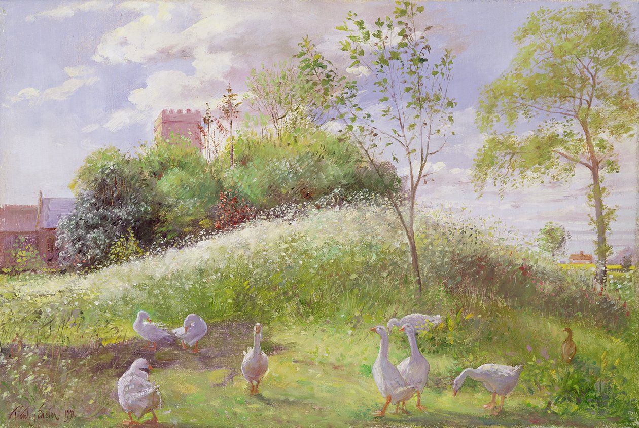 May Mount, 1991 od Timothy Easton