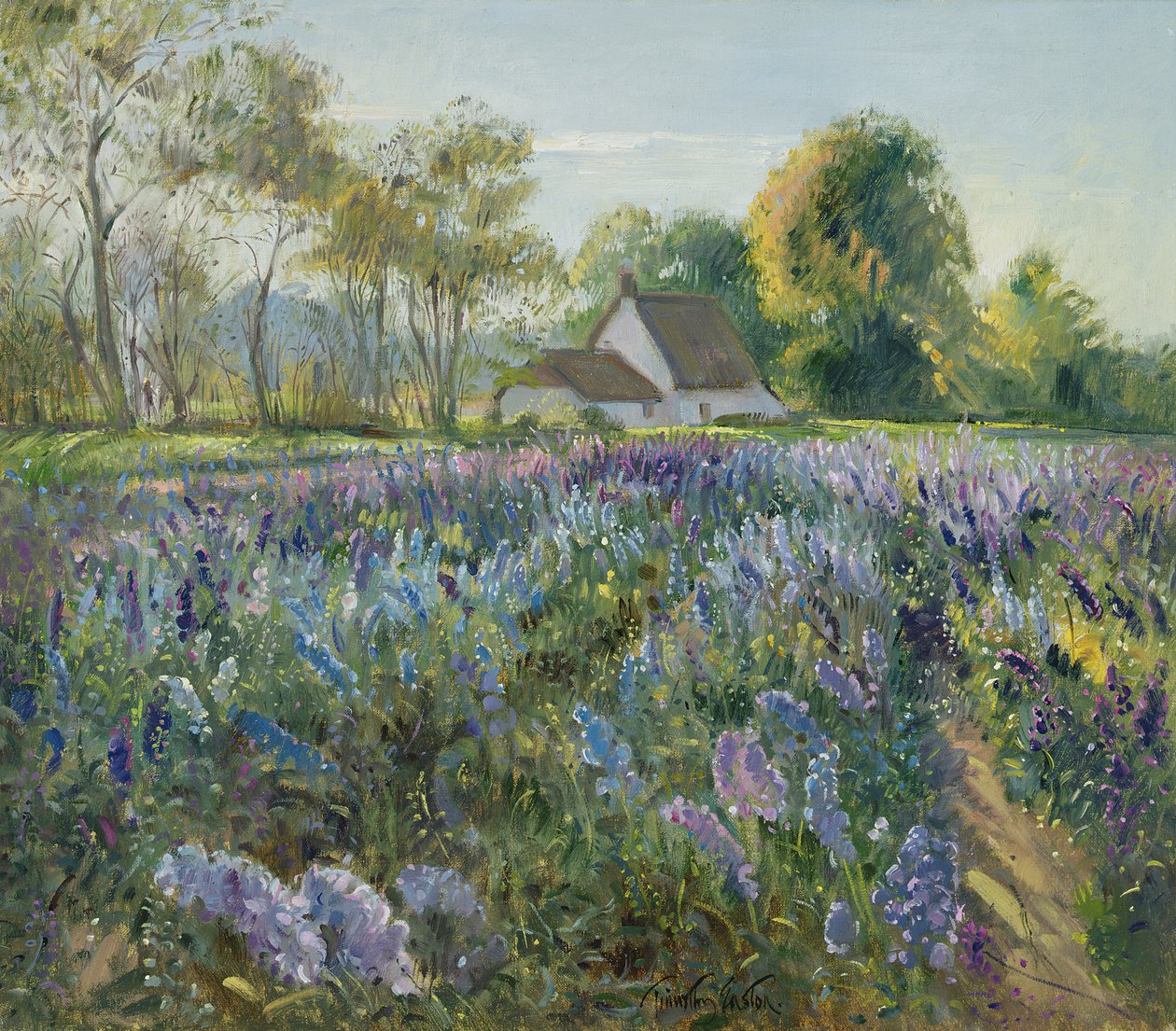 Říjnové delfínie od Timothy Easton