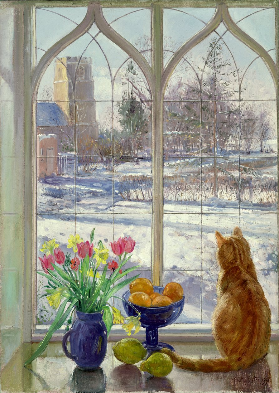 Sněhové stíny a kočka od Timothy Easton