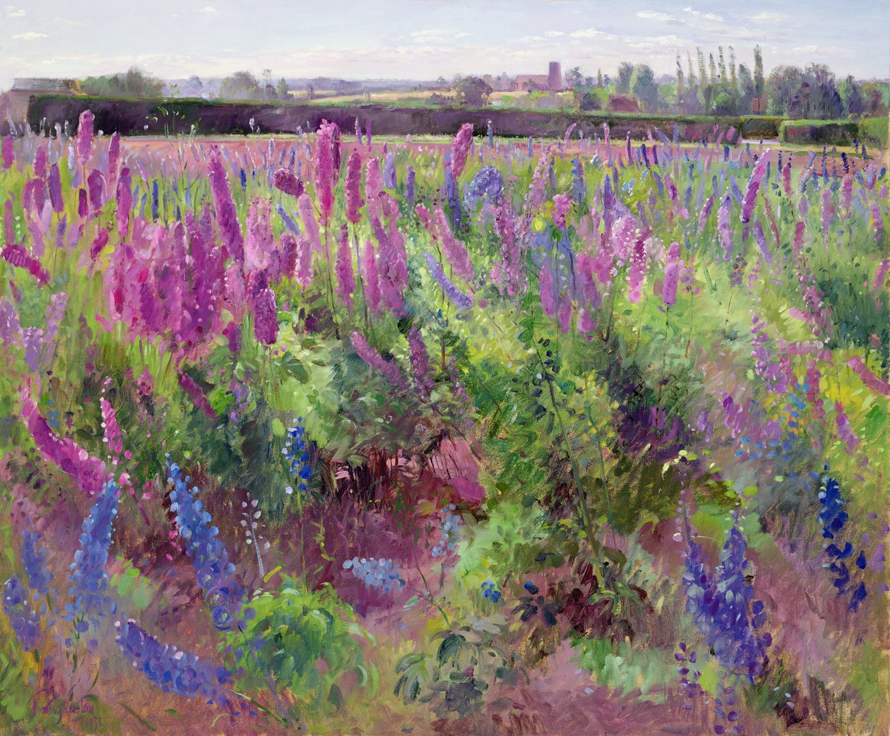 Pole Delphinium, 1991 od Timothy Easton