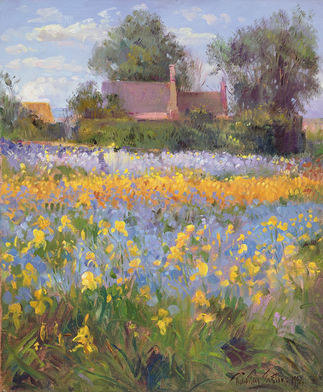 Uzavřené domky v Iris Field od Timothy Easton