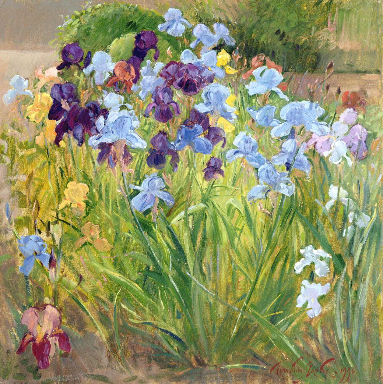 The Iris Bed, Bedfield, 1996 od Timothy Easton