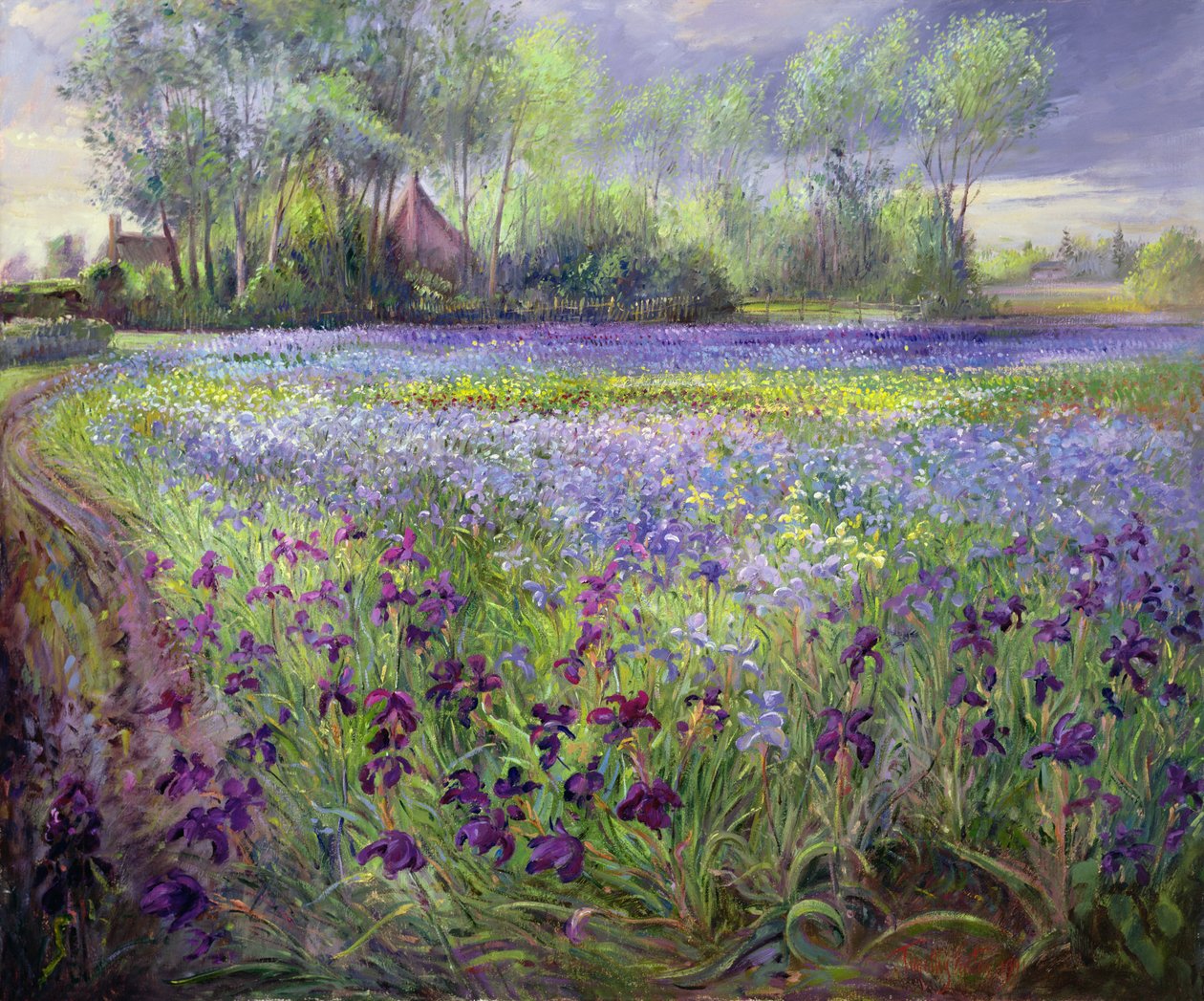 Dráha kolem Iris Field, 1991 od Timothy Easton