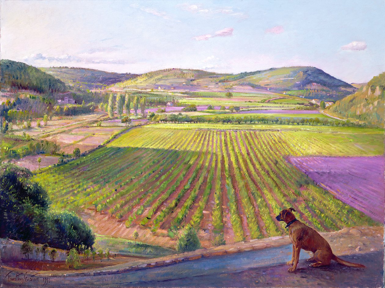 Pozorování z hradeb, Stará Provence, 1993 od Timothy Easton