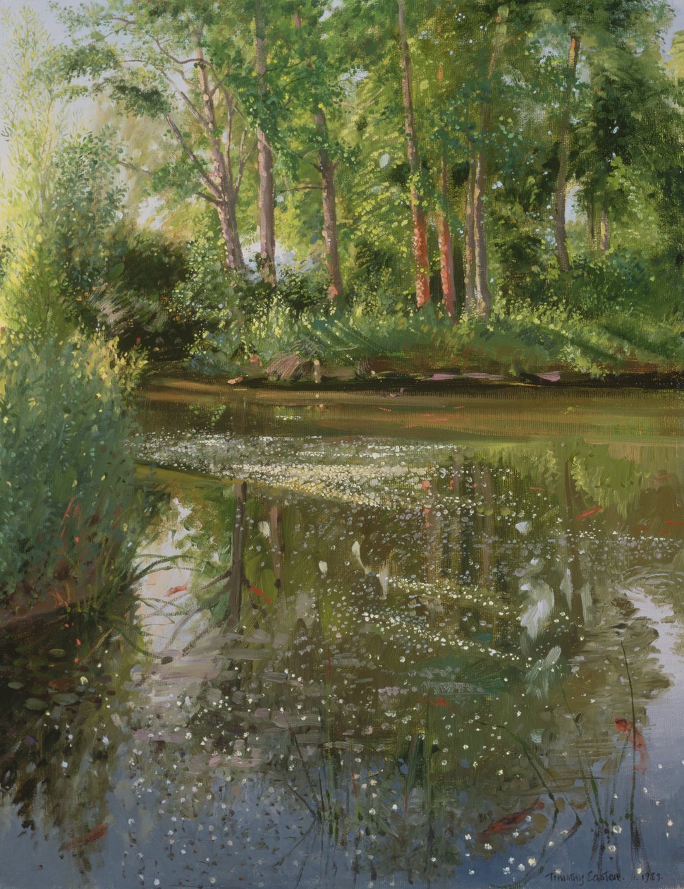 Vodní květiny při východu slunce od Timothy Easton