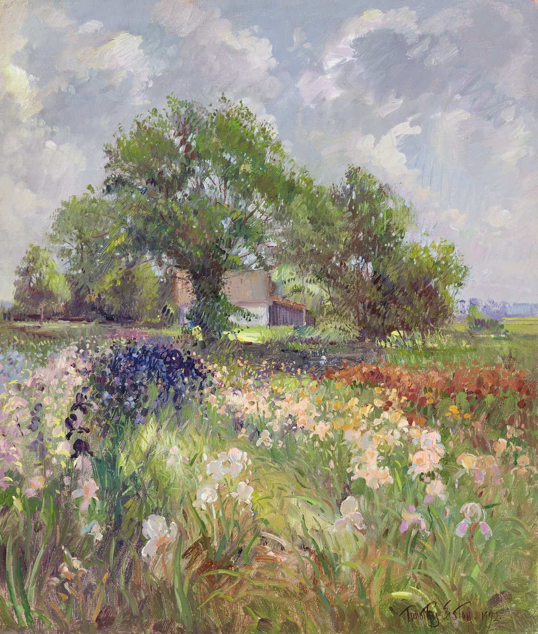 Bílá stodola a Iris Field, 1992 od Timothy Easton