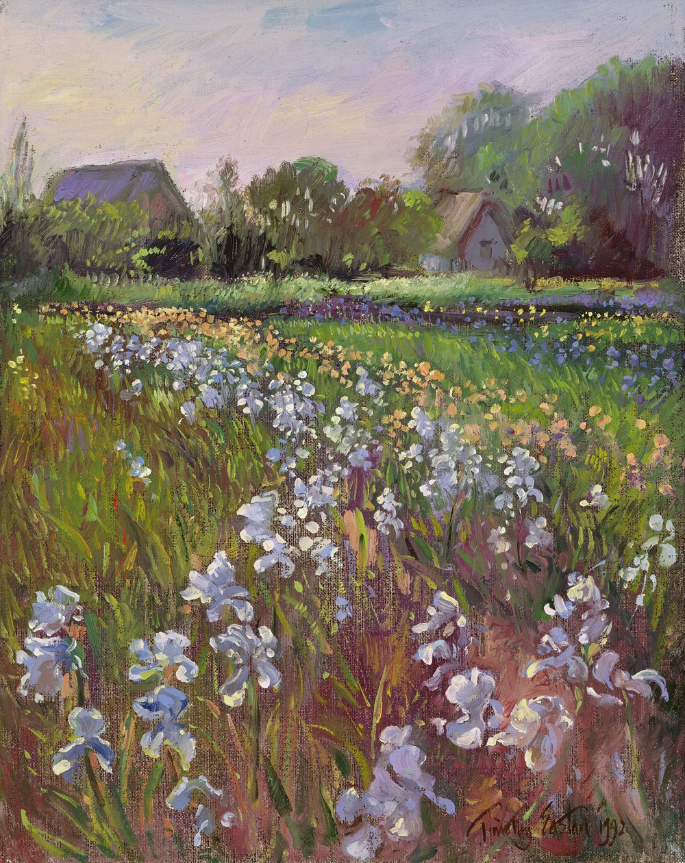 Bílé kosatce a farma od Timothy Easton