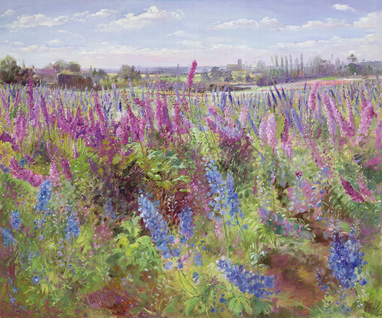 Delphinium Field a kostel od Timothy Easton