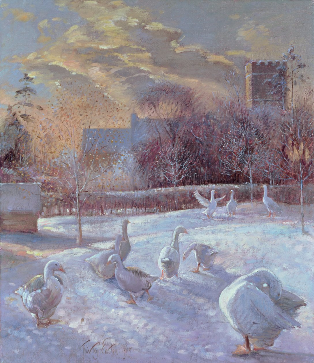 První světlo, 1994 od Timothy Easton
