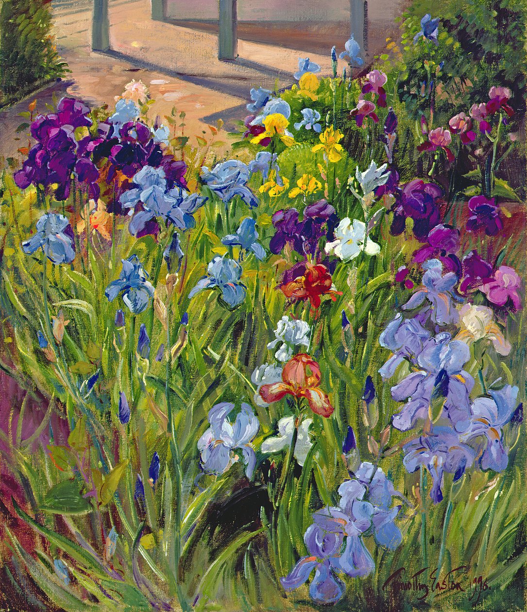 Kosatce a stíny letního domu, 1996 od Timothy Easton
