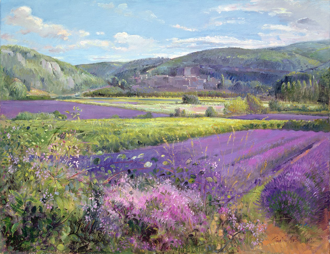 Levandulová pole ve staré Provence od Timothy Easton