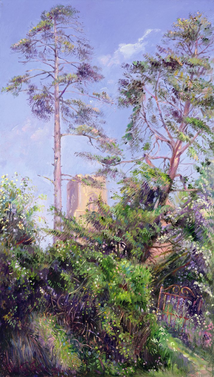 Borovice a věž od Timothy Easton