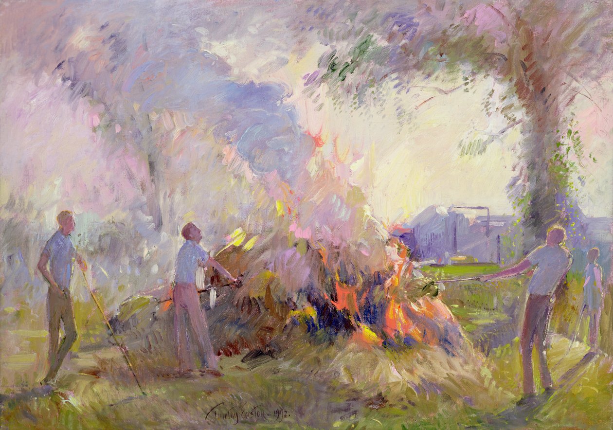 Léto se vyjasní od Timothy Easton