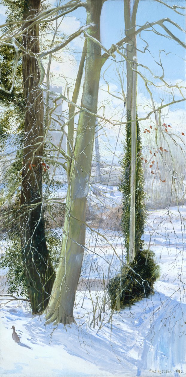 Tři stromy v zimě od Timothy Easton