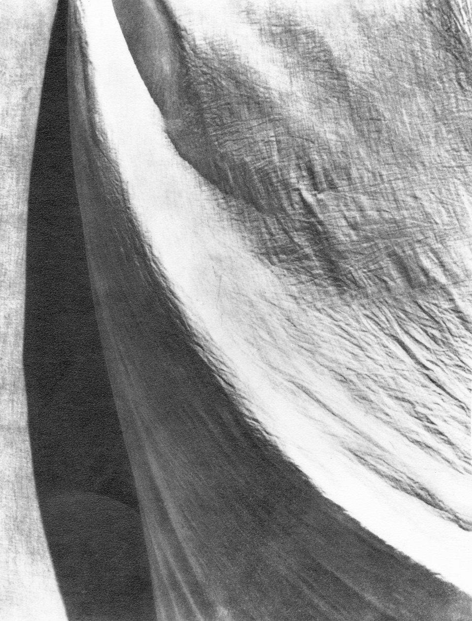 Cloth, Mexiko, 1924 od Tina Modotti