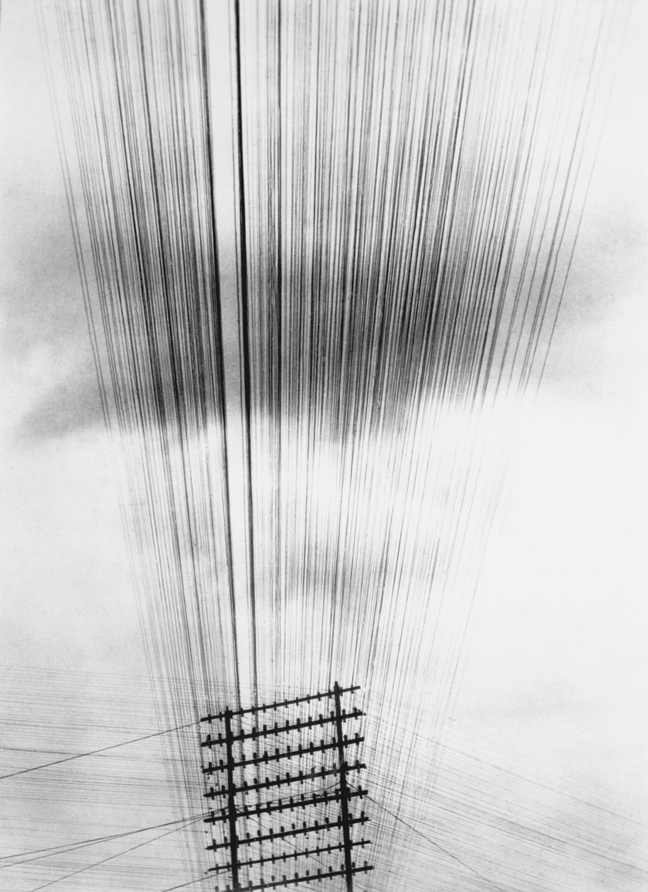 Telefonní dráty, Mexiko, 1925 od Tina Modotti
