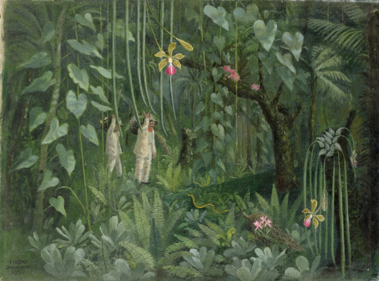 Lovci orchidejí z Brazílie od Tirzah Ravilious