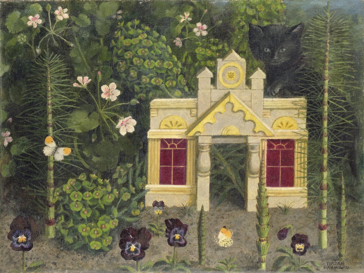 Weewakovo kotě od Tirzah Ravilious