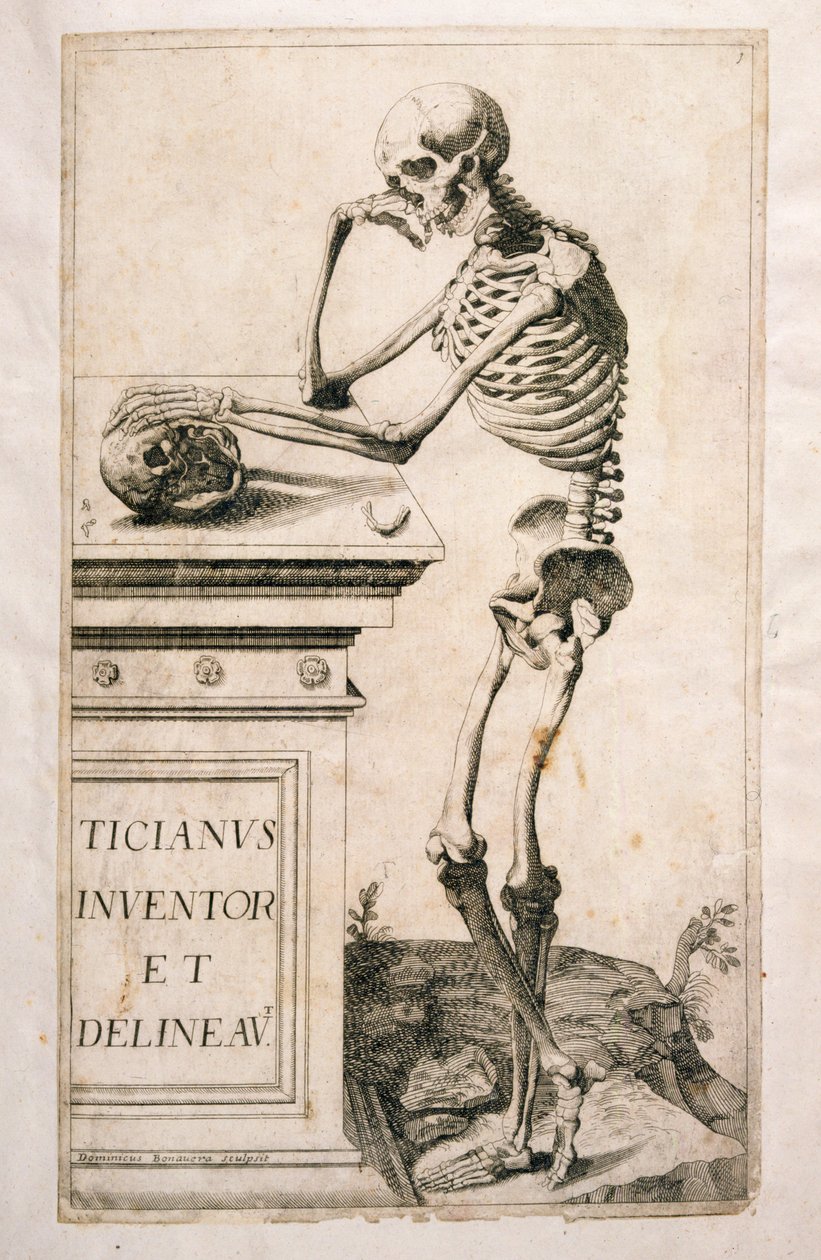 Anatomická studie, Domenico Maria Bonavera (nar. 1640) (lept a suchá jehla) od Tiziano Vecelli