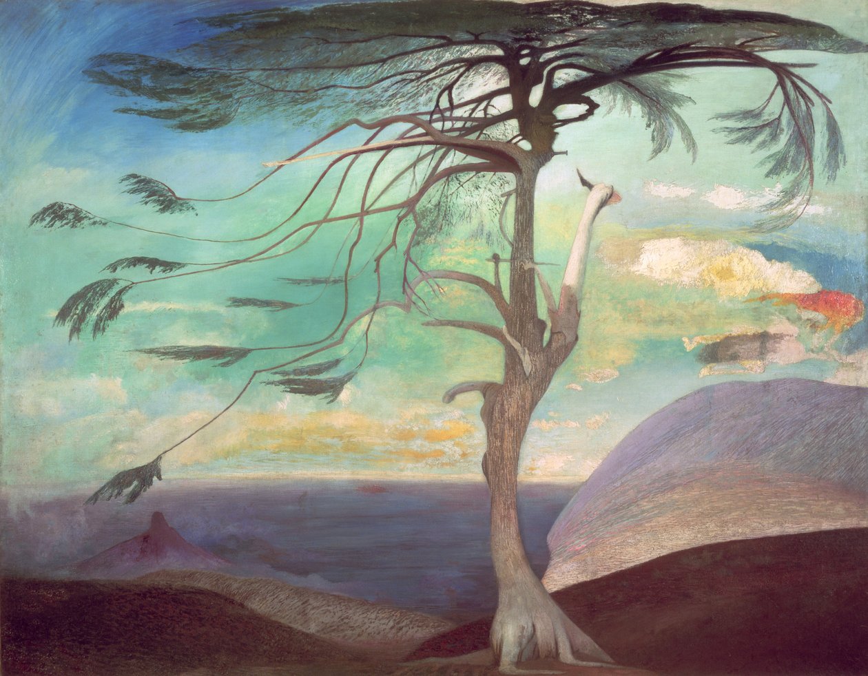 Osamělý cedr, 1907 od Tivadar Kosztka Csontvary