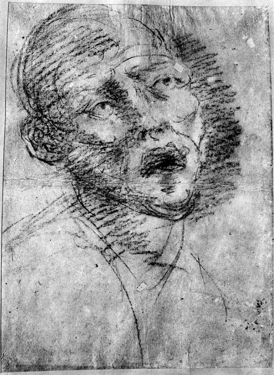 Head of a Moor, c1525, 1937 od Tiziano Vecelli