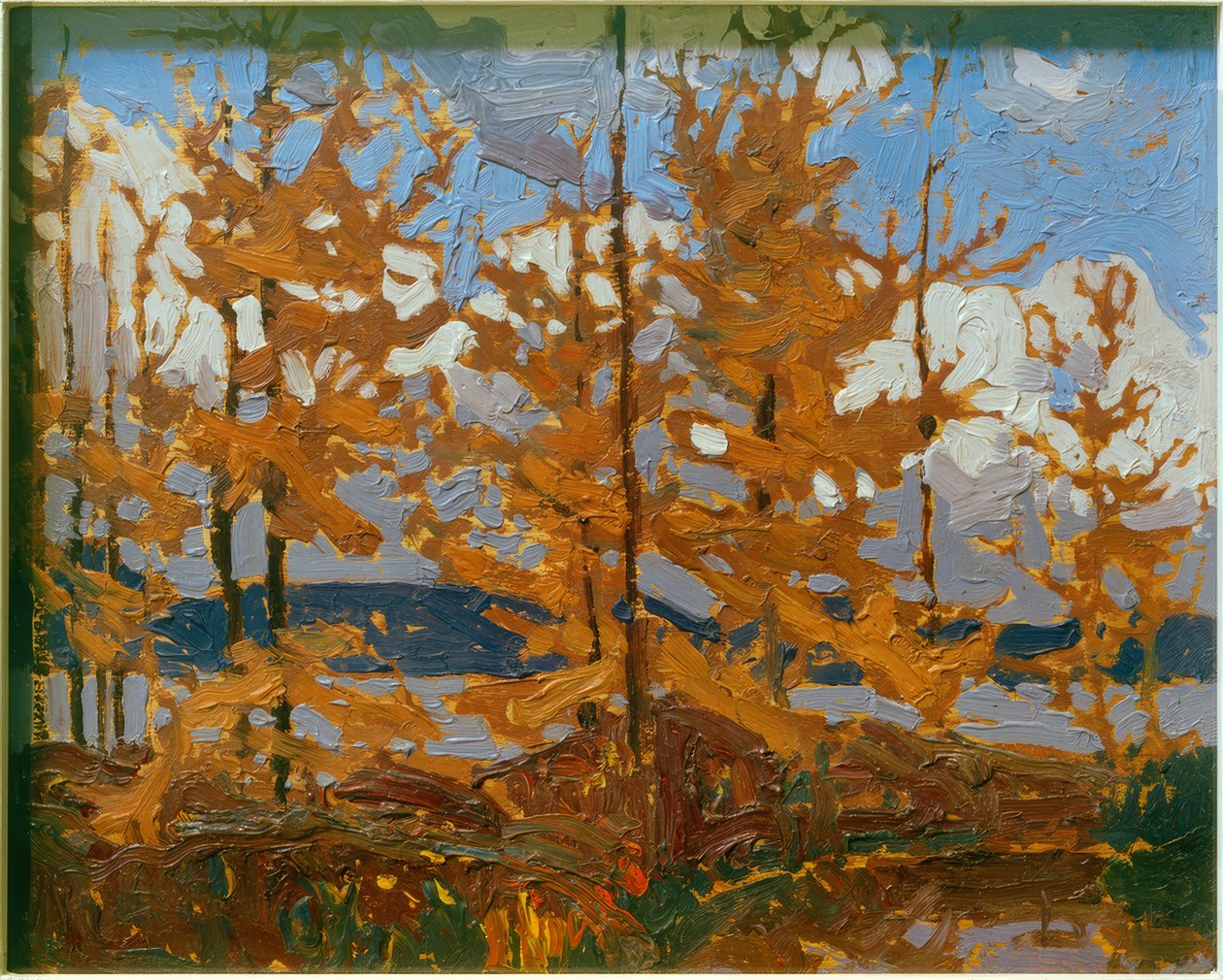 tamarkas od Tom Thomson